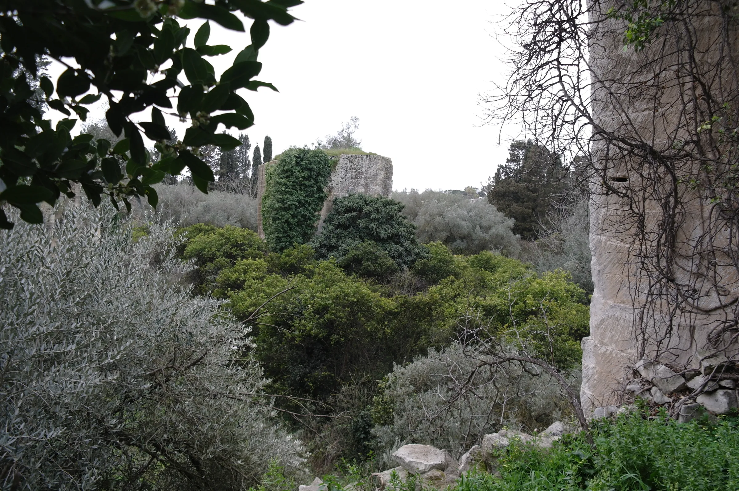 Pareti e vegetazione della cava Canteras