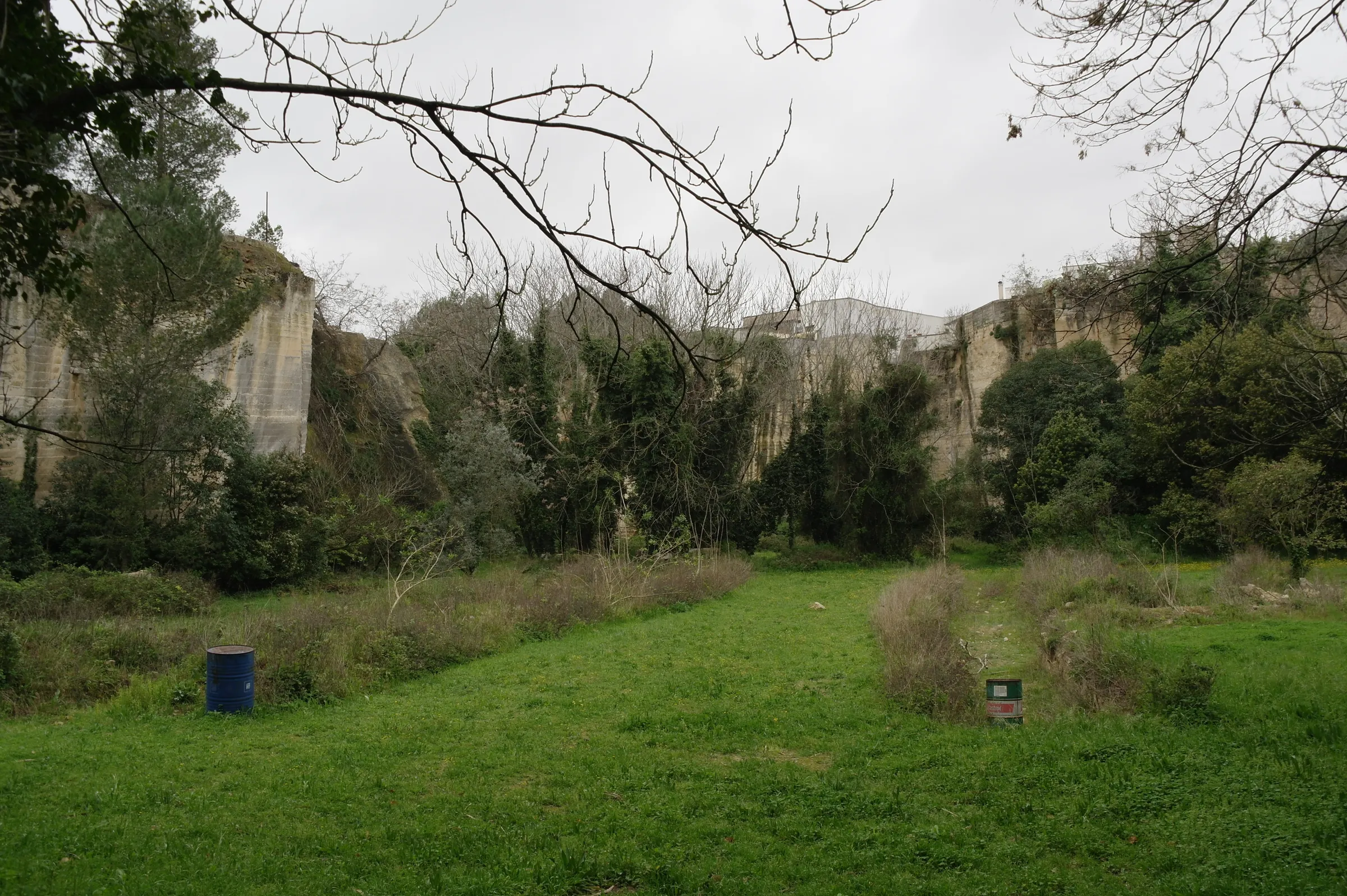 Spazio aperto sul fondo della cava