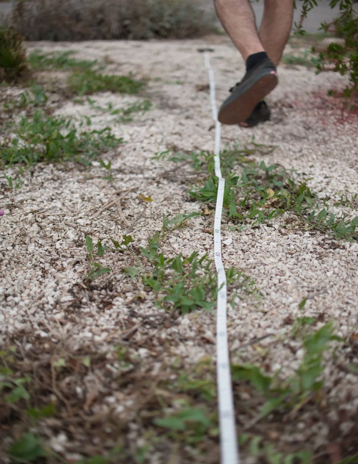 Tracciamento sul terreno dell’installazione