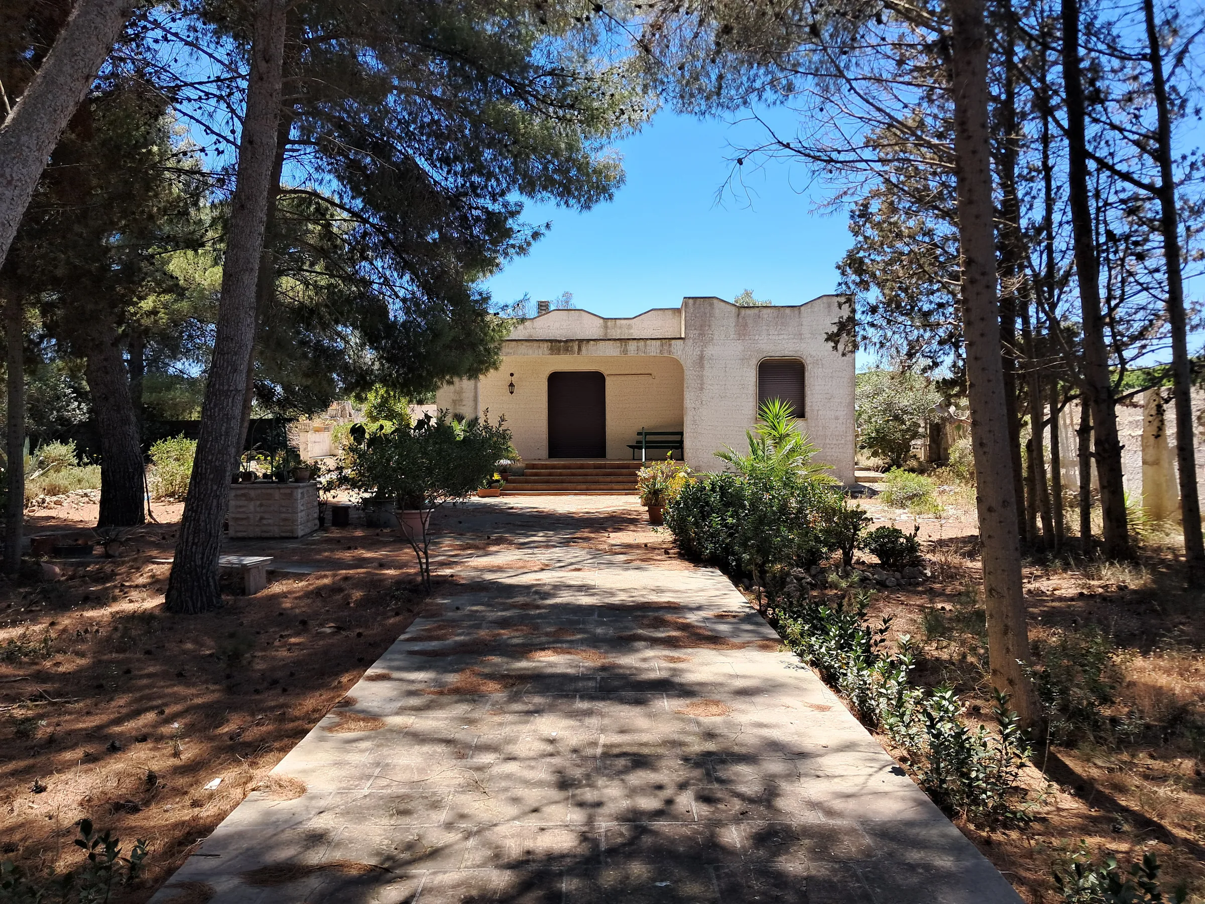 La casa di mare prima dell’intervento, vista dal viale nella pineta