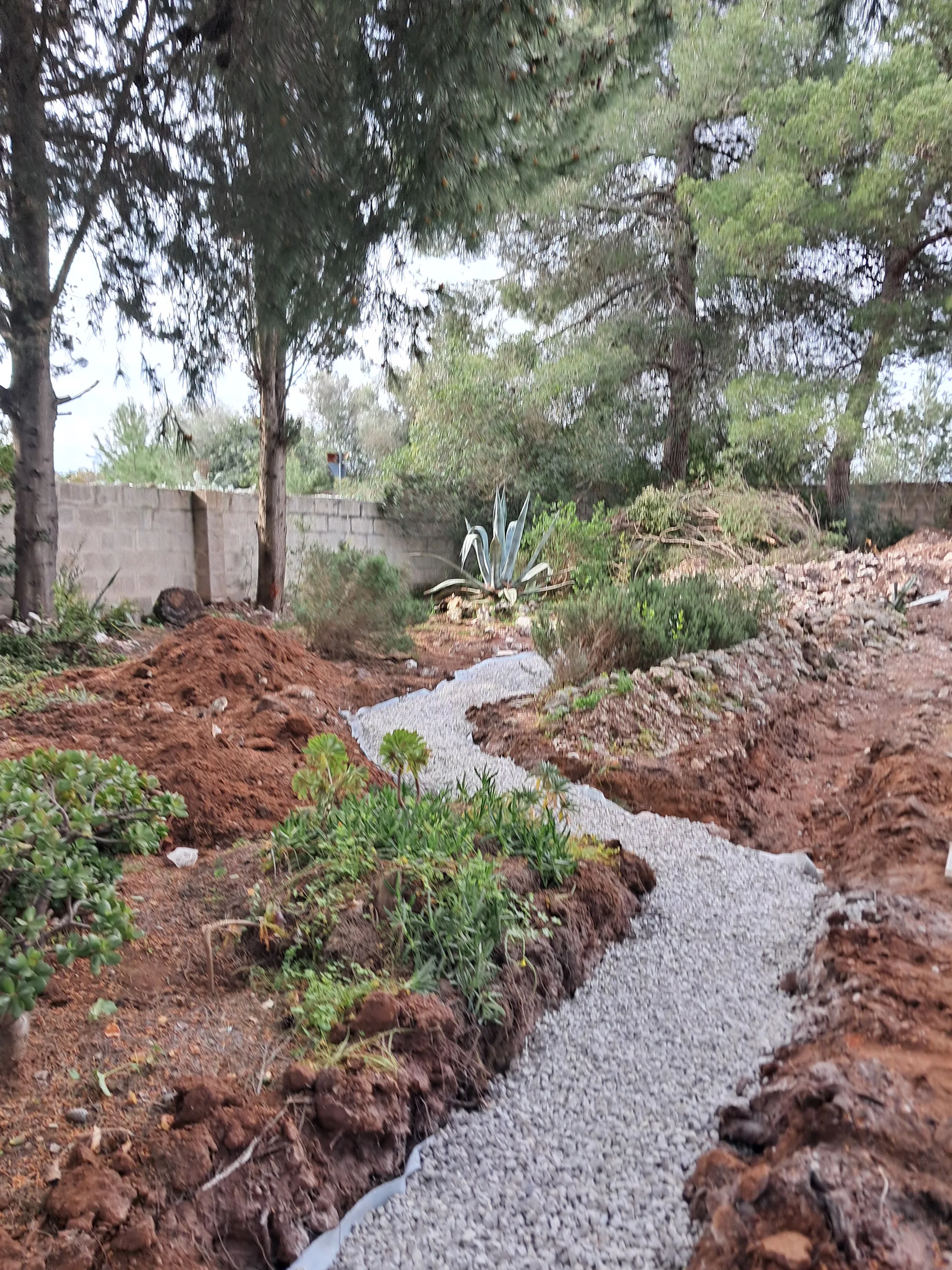 Realizzazione del percorso nel giardino durante il cantiere