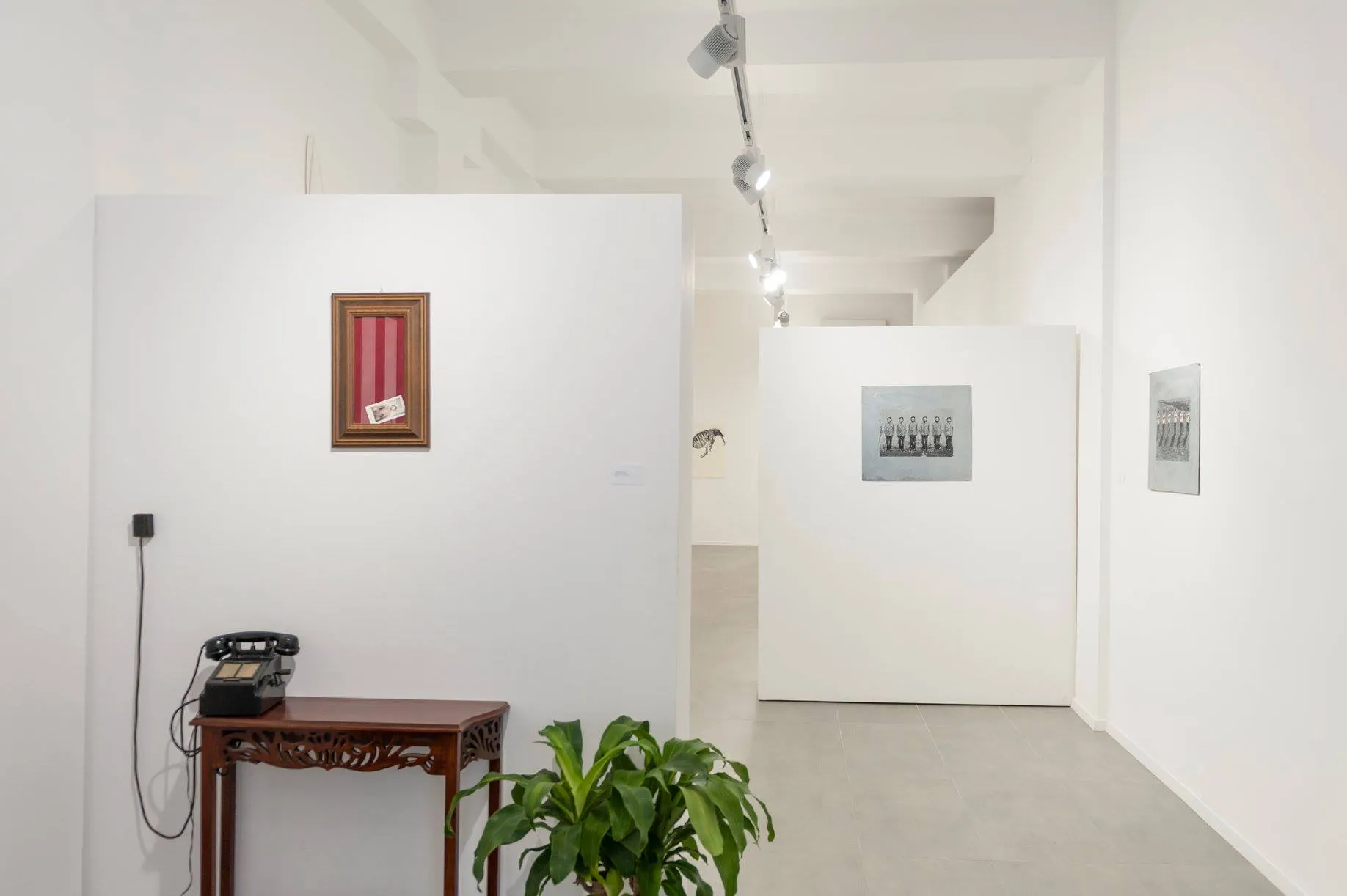 Allestimento della galleria fotografica di LOFT