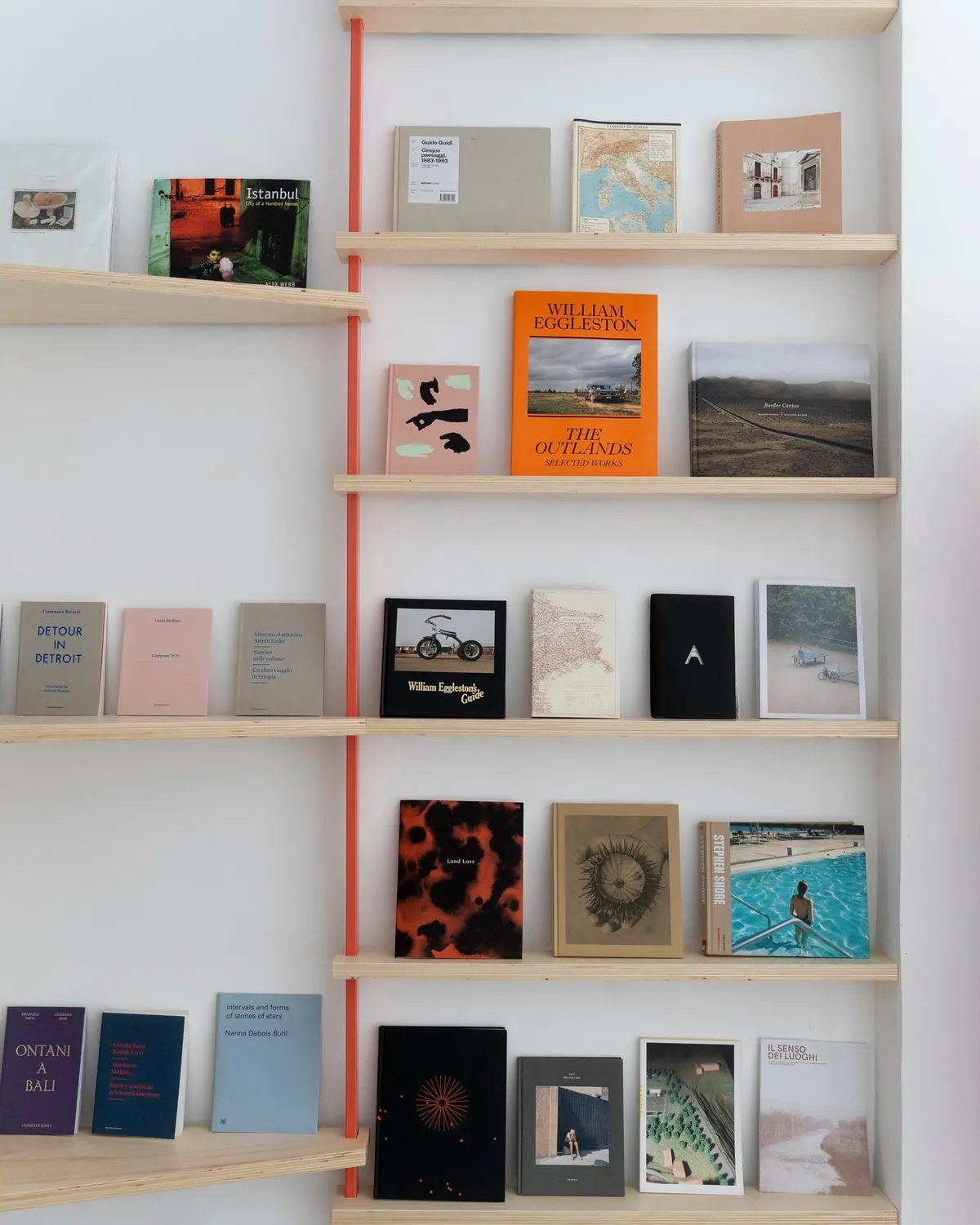 Mensole della Microlibreria con libri e progetti editoriali