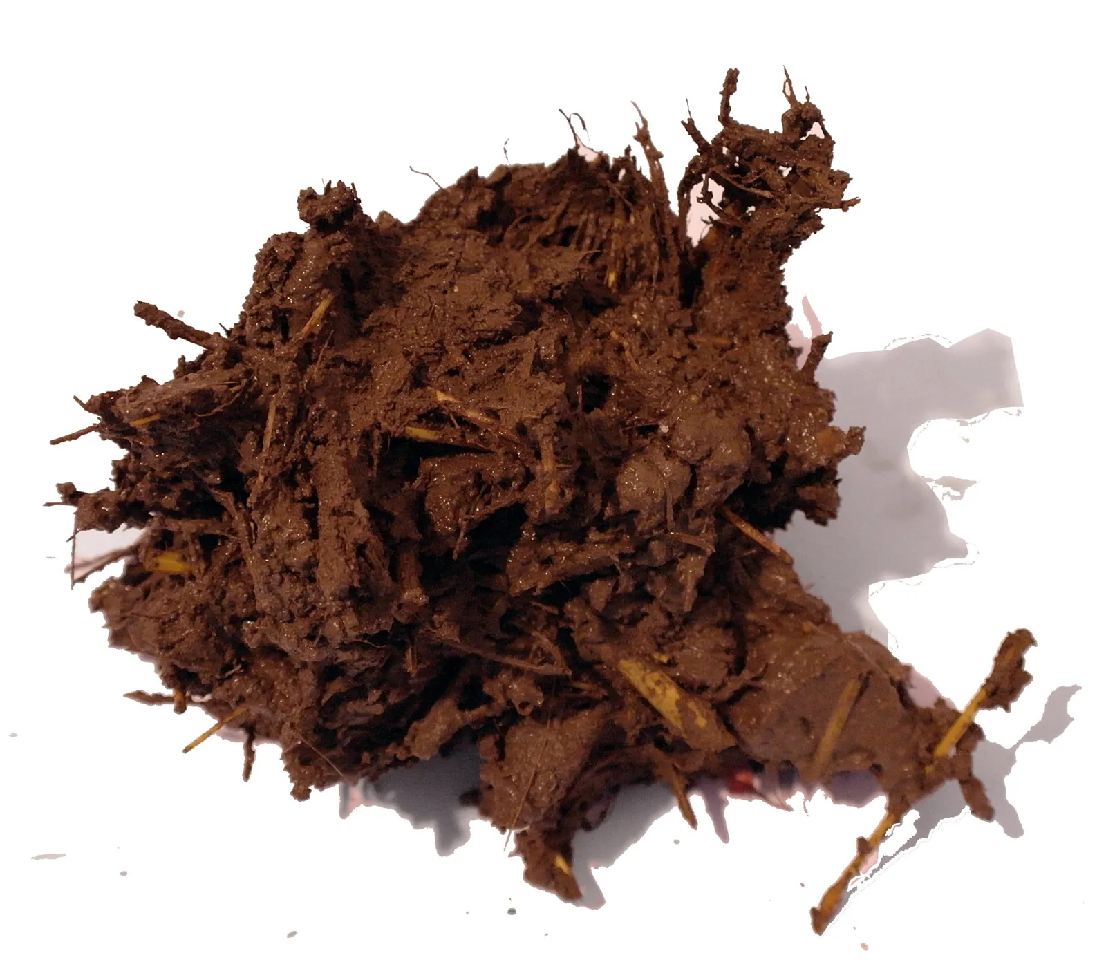 Campione in terra, paglia e fibre naturali