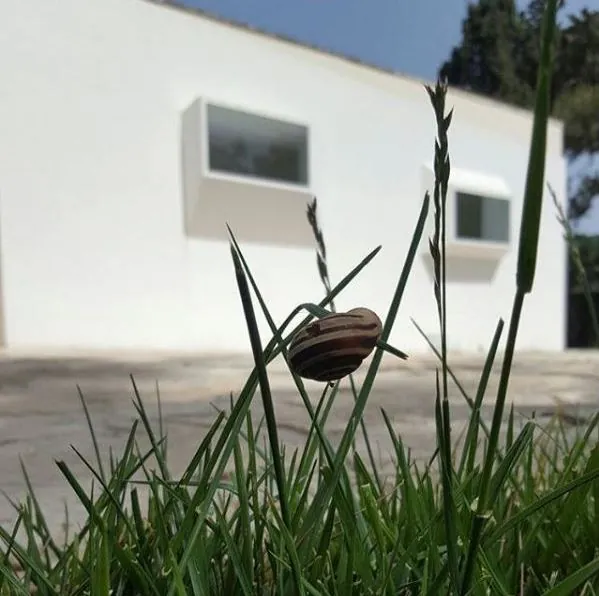 Elemento recuperato nel giardino