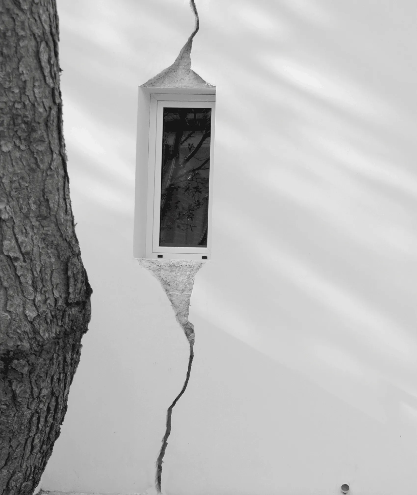 Stanza Naturalia