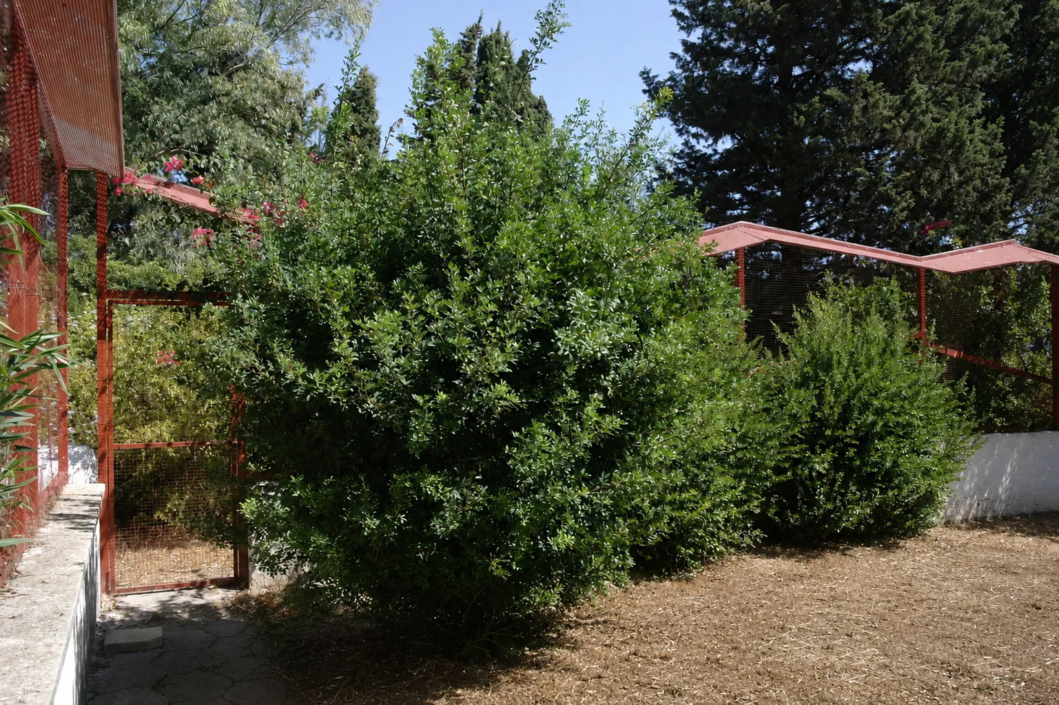 Il recinto aperto verso il cielo e la vegetazione